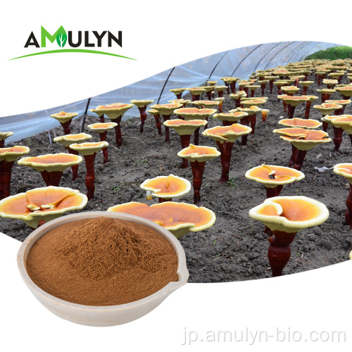 ganoderma lucidum抽出物reishiマッシュルーム抽出粉末